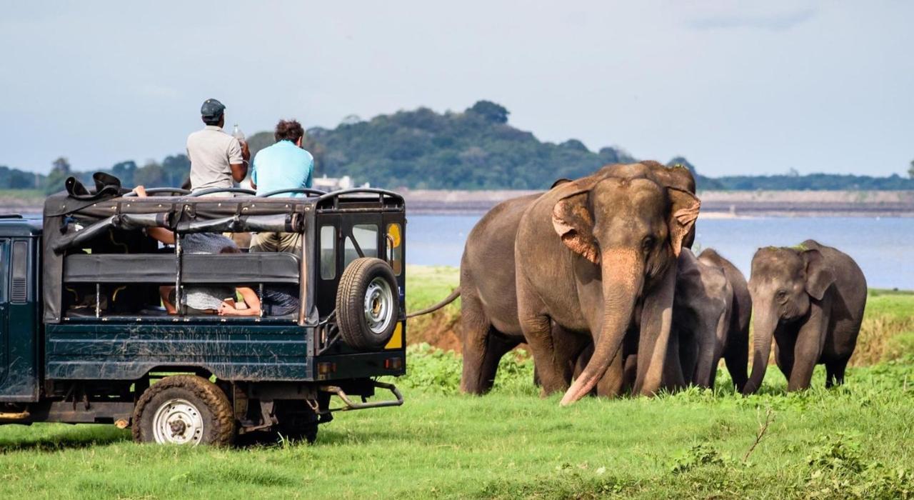 Dinesh Safari Homestay Удавалаве Экстерьер фото