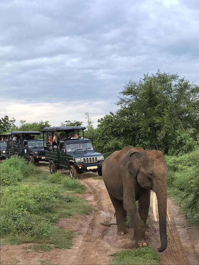 Dinesh Safari Homestay Удавалаве Экстерьер фото